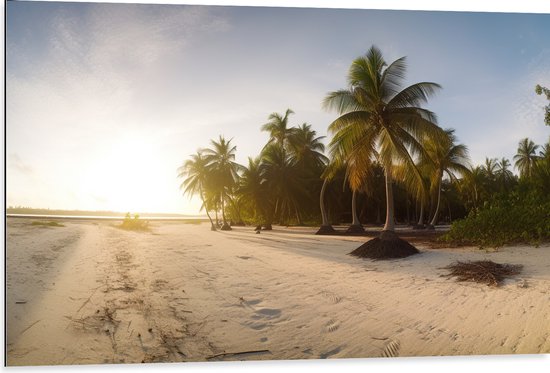 Dibond - Felle Zonnestralen over het Strand en Palmbomen - 105x70 cm Foto op Aluminium (Wanddecoratie van metaal)