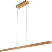 Dimbare hanglamp Shane van hout