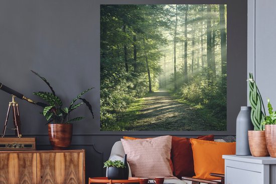 Stickers muraux - Film autocollant - Forêt - Chemin - Soleil - Arbres - Vert - Nature - 120x120 cm - Film adhésif - Stickers muraux Chambre d'enfant - Papier peint autocollant XXL