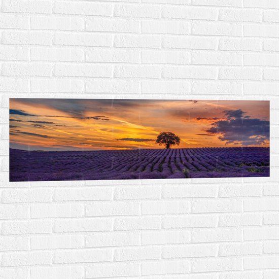 Muursticker - Landschap - Bloemen - Planten - Boom - Lavendel - Zonsondergnag - Paars - 120x40 cm Foto op Muursticker