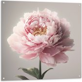 Tuinposter – Roze Pioenroos - 100x100 cm Foto op Tuinposter (wanddecoratie voor buiten en binnen)