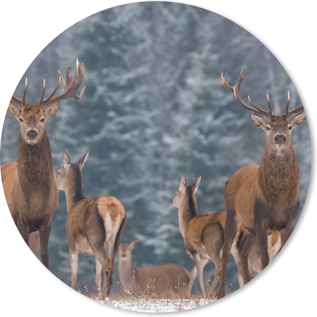 Muismat rond 40x40 cm - Mousepad Hert - Winter - Sneeuw - Bosdieren - Bos - Natuur - Ronde muismatten