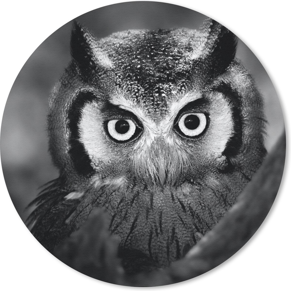 Muismat rond 40x40 cm - Mousepad Vogel - Uil - Portret- Zwart - Wit - Ronde muismatten