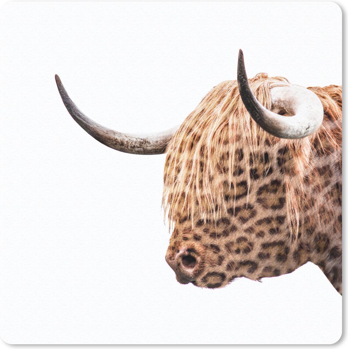 Muismat 20x20 cm - Mousepad Schotse hooglander - Panter - Design - Muismatten