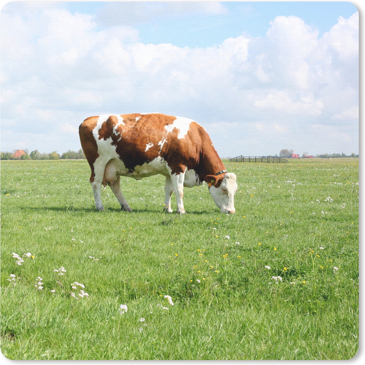 Muismat Koeien - Bruin-witte koe in de weg muismat rubber - 20x20 cm - Muismat met foto