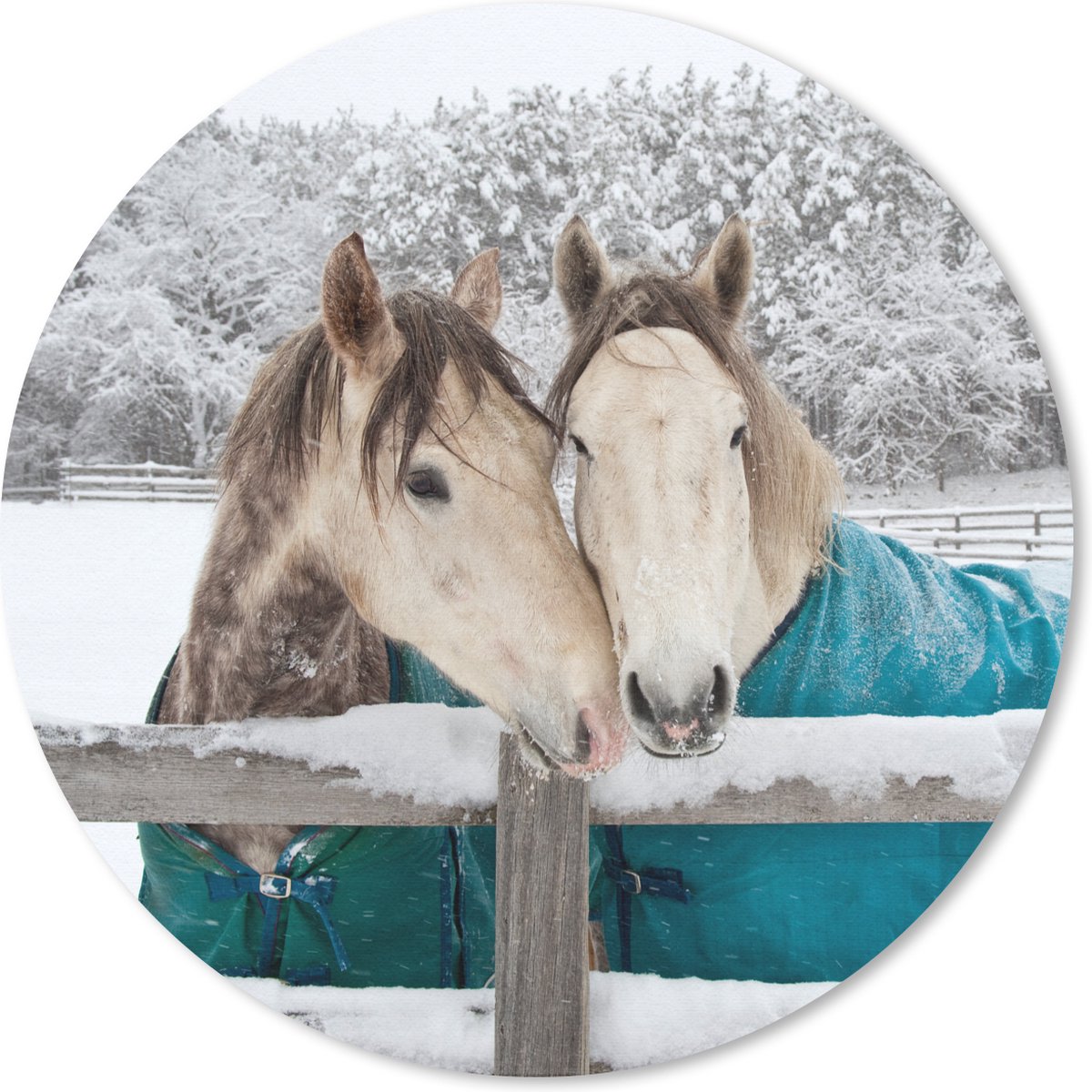 Muismat rond 20x20 cm - Mousepad Paarden - Deken - Sneeuw - Ronde muismatten
