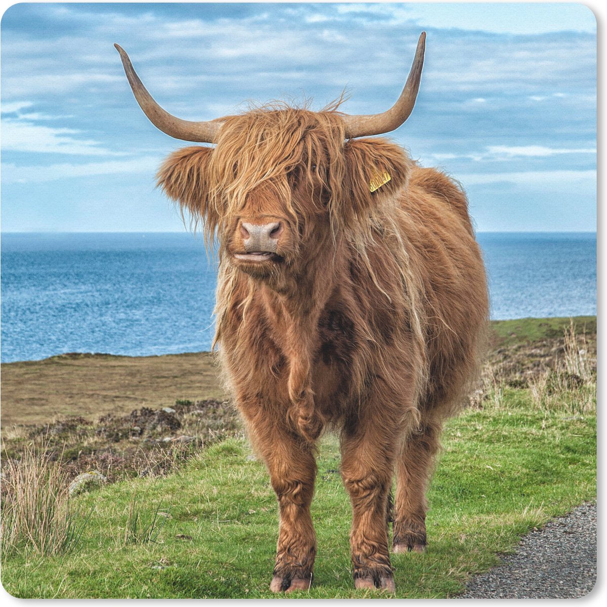 Muismat 30x30 cm - Mousepad Schotse hooglander - Wolken - Landschap - Muismatten