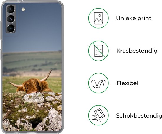 Telefoonhoesje Geschikt voor Samsung Galaxy S21 Plus hoesje - Schotse Hooglander - Stenen - Gras - Siliconen Telefoonhoesje