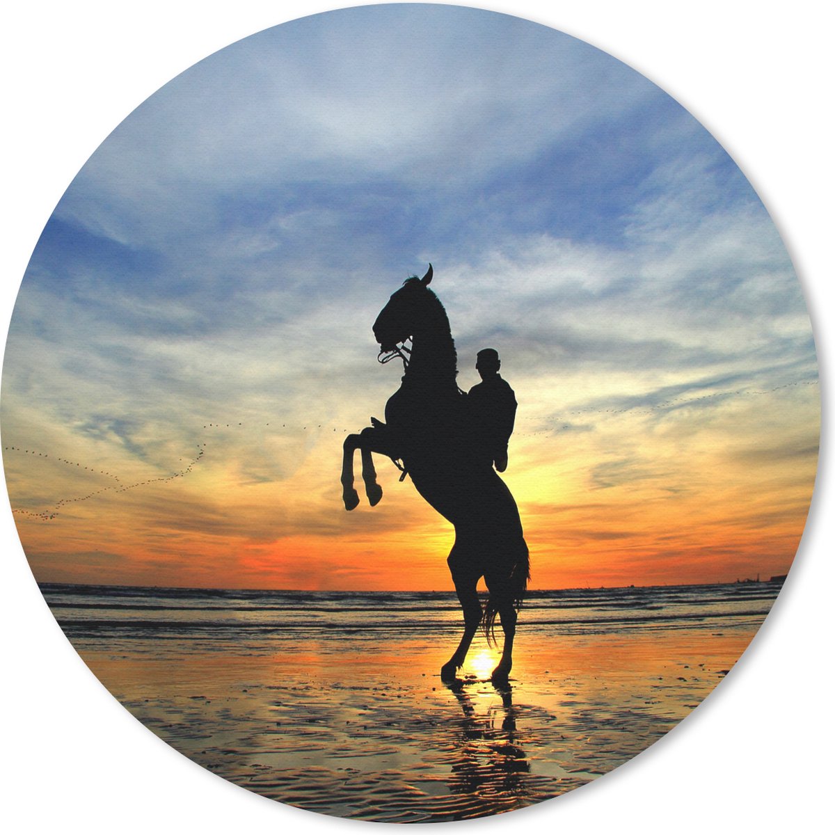 Muismat rond 40x40 cm - Mousepad Paard - Lucht - Schaduw - Ronde muismatten