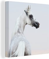 Canvas Schilderij Paard - Zand - Pastel - 50x50 cm - Wanddecoratie