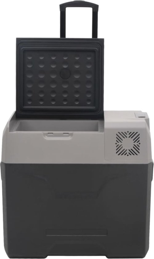 vidaXL - Koelbox - met - wielen - en - handvat - 30 - L - polypropeen - zwart - en - grijs van Vidaxl — afbeelding 5