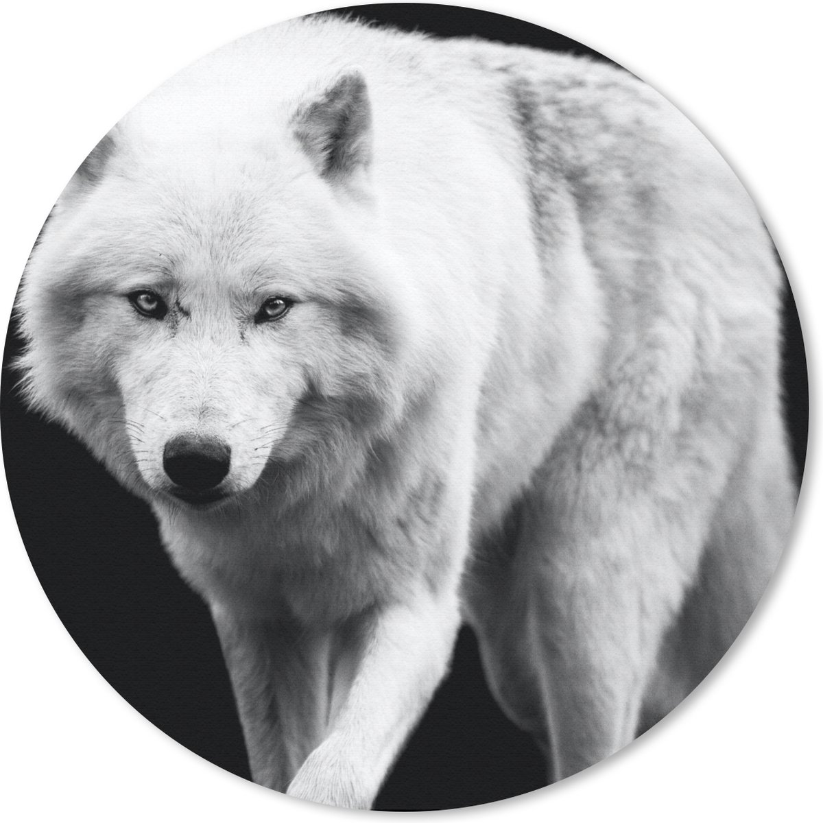 Muismat rond 20x20 cm - Mousepad Wolf - Dier - Zwart - Wit - Ronde muismatten