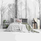Forêt de feuillus enneigée - Papier peint photo Polaire 384 x 260 cm