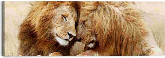 Schilderij Leeuwenpaar 40x118 cm