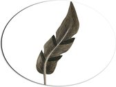 Dibond Ovaal - Tekening van Hoekige Bruine Dierenveer tegen Witte Achtergrond - 56x42 cm Foto op Ovaal (Met Ophangsysteem)