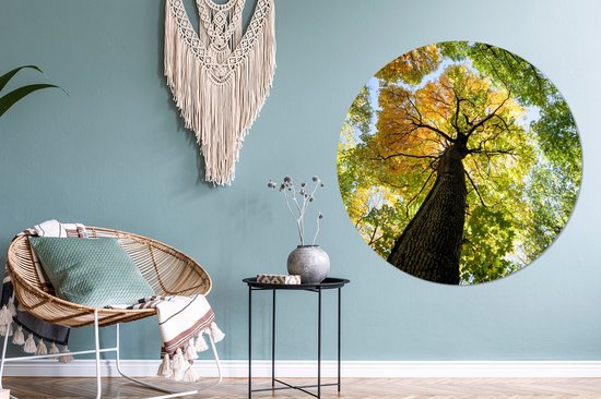 WallCircle - Muurstickers - Behangcirkel - Boom - Natuur - Bos - 120x120 cm - Muurcirkel - Zelfklevend - Ronde Behangsticker XXL