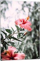 Tuinposter – Bloemen - Planten - Roze - Groen - Bladeren - 80x120 cm Foto op Tuinposter (wanddecoratie voor buiten en binnen)