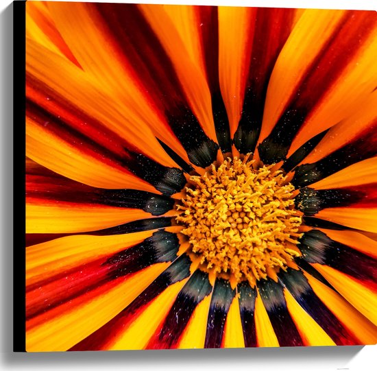 Canvas - Close-up - Bloem - Plant - Bladeren - Kleuren - 60x60 cm Foto op Canvas Schilderij (Wanddecoratie op Canvas)