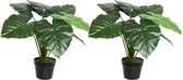 2x Groene Colocasia/taro kunstplanten 52 cm in zwarte pot - Kunstplanten/nepplanten - Kantoorplanten