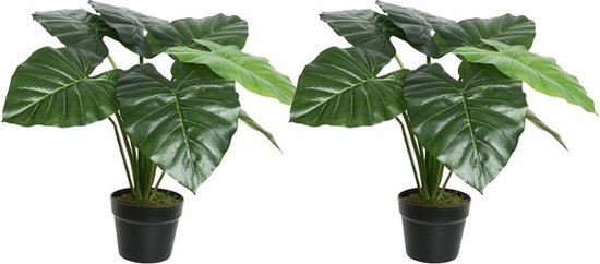 2x Groene Colocasia/taro kunstplanten 52 cm in zwarte pot - Kunstplanten/nepplanten - Kantoorplanten