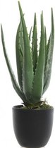Groene aloe vera kunstplant 35 cm in zwarte pot - Kunstplanten/nepplanten - Succulenten - Kantoorplanten