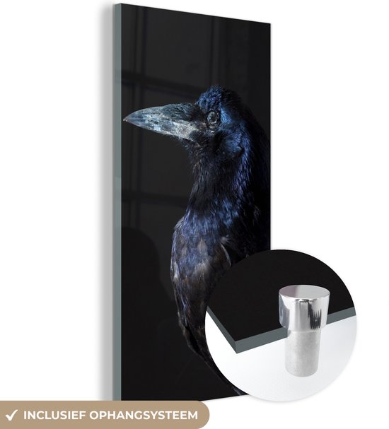 MuchoWow® Glasschilderij 20x40 cm - Schilderij acrylglas - Vogel - Dieren - Zwart - Foto op glas - Schilderijen