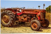 Acrylglas - Oude Verroeste Rode Tractor in het Weiland - 75x50 cm Foto op Acrylglas (Met Ophangsysteem)