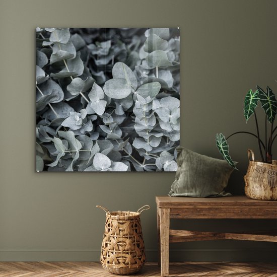 MuchoWow® Glasschilderij 90x90 cm - Schilderij acrylglas - Natuur - Planten - Eucalyptus - Bladeren - Foto op glas - Schilderijen