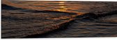 Dibond - Zonnestralen op het Wateroppervlak bij Golvende Golven - 120x40 cm Foto op Aluminium (Met Ophangsysteem)