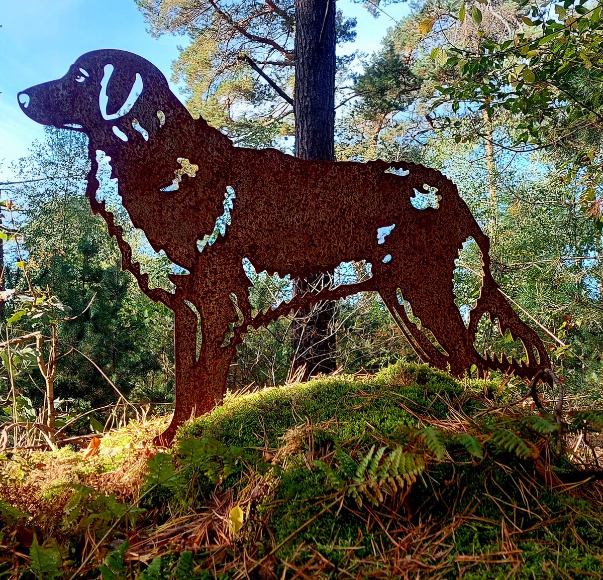 Nova Scotia tolling retriever - Toller - Silhouet Hond - Cortenstaal - NL Fabrikaat