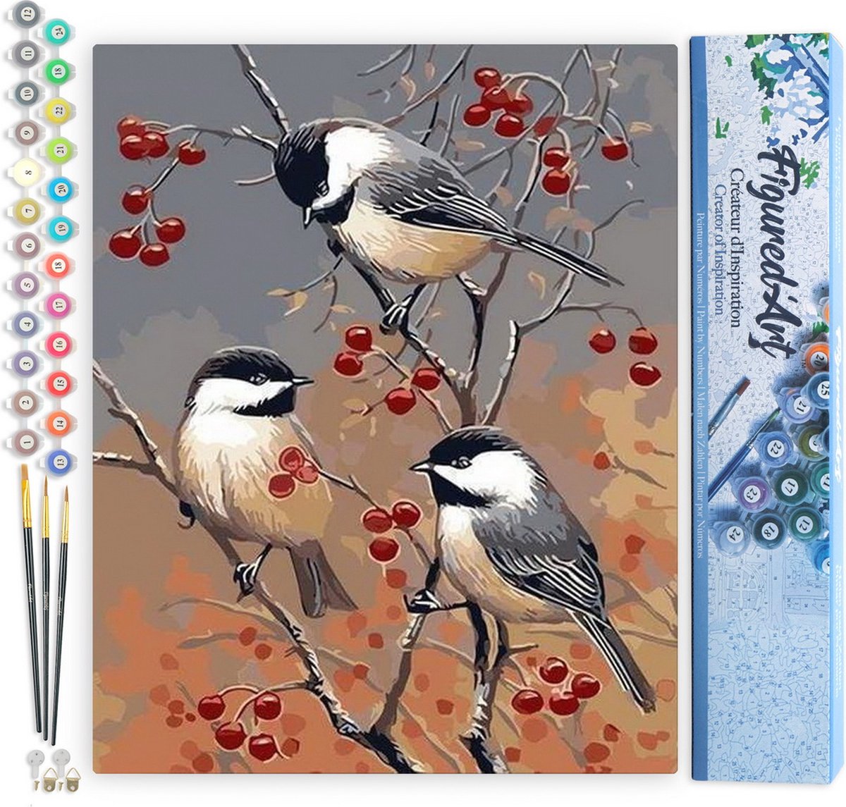 Figured'Art Schilderen op Nummer Volwassenen canvas Vogels en fruitboom - Handwerk acrylverf Kit DIY Compleet - 40x50cm zonder frame