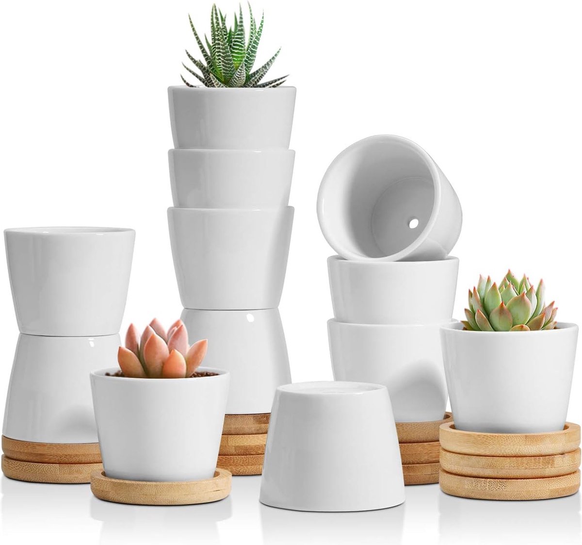 6 5CM Succulente Plantenpot Set van 12 Ronde Keramiek Vetplant Bloempot met Bamboe Onderzetter Binnen Klein Cactus Pot met Afvoergat Wit voor Sappige Aloë Kruid Kamerplant Decoratieve Geschenk