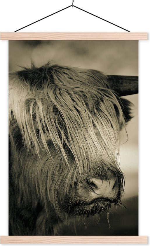 Porte-affiche avec affiche - Affiche scolaire - Highlander écossais - Animaux - Cheveux - 120x180 cm - Lattes vierges
