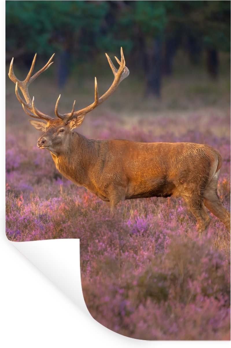 Muurstickers - Sticker Folie - Hert - Nederland - Bloemen - Veluwe - 40x60 cm - Plakfolie 