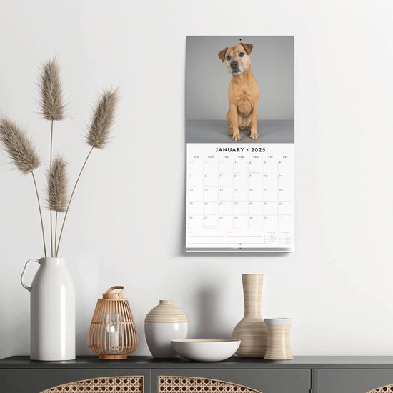 Patterdale Terrier Calendrier 2025