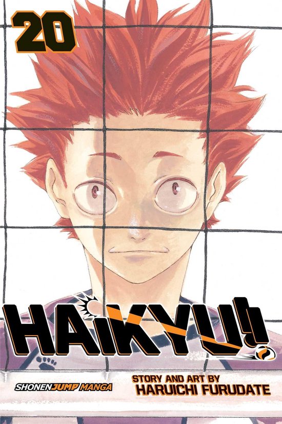 Haikyu, Vol 20 Particular Volume 20 - cover