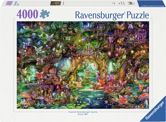 Nederlands oefenen: Taalpuzzels met 1000 basiswoorden : Schoenaerts, Peter