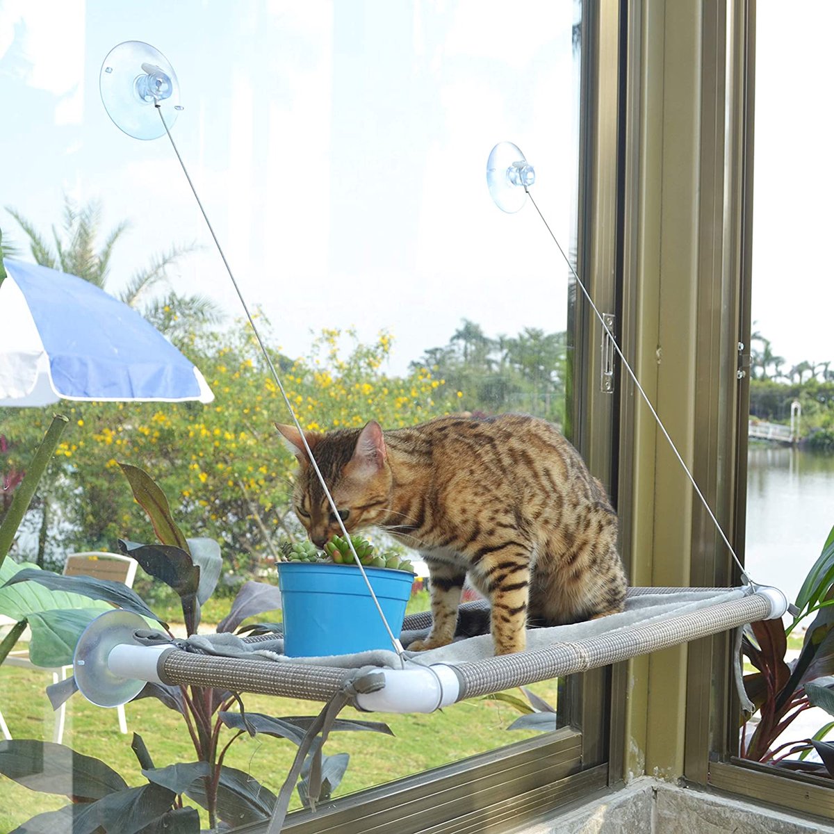 DOWO® - Kattenmand voor aan het Raam - Kattenhangmat Raam - Kattenbed - Hangmat Kat - Kattenkussen - incl. Wasbaar Kleedje & Kattenspeeltje! – foto 3