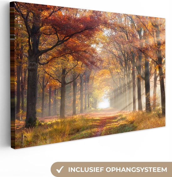 Foto: Canvas schilderij canvas doek bos herfst zon natuur schilderijen op canvas 120x80 cm wanddecoratie foto op canvas slaapkamer decoratie