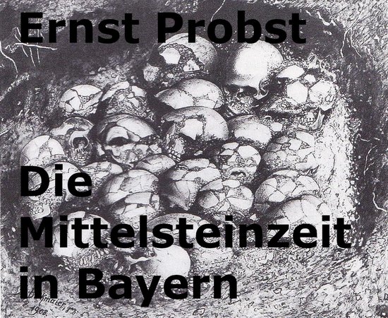 Die Mittelsteinzeit in Bayern - cover