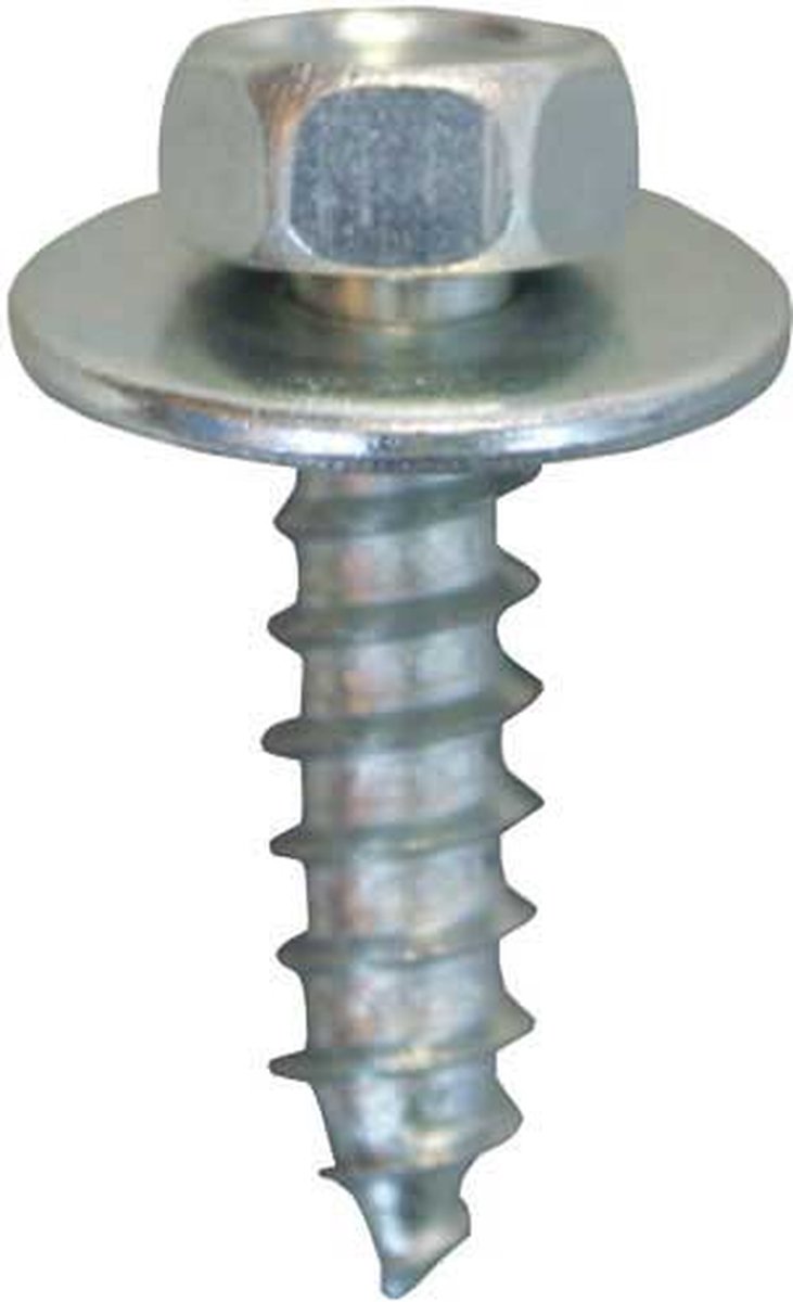 Zeskantplaatbout 6.3x25mm