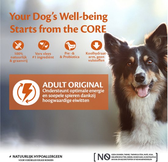 Wellness CORE Adult Original Kalkoen-Kip