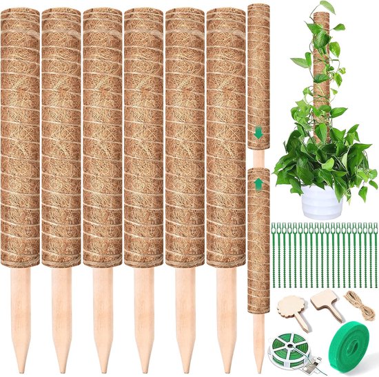 Foto: Cactus pennenhouder set van 2 organiser voor bureau desk en make up