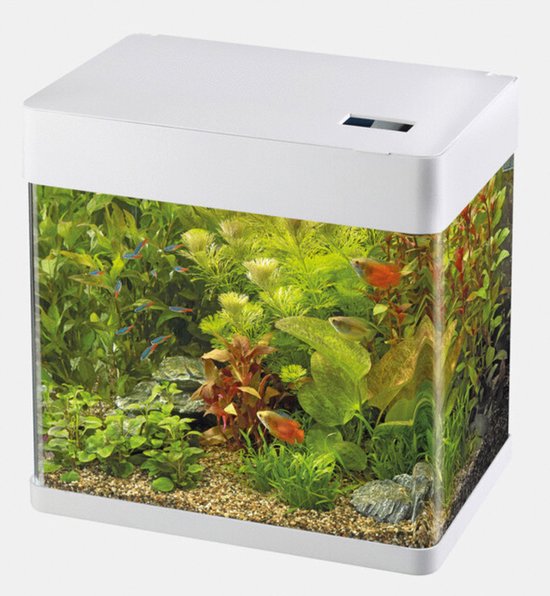 Superfish Panorama 35 LED Aquarium