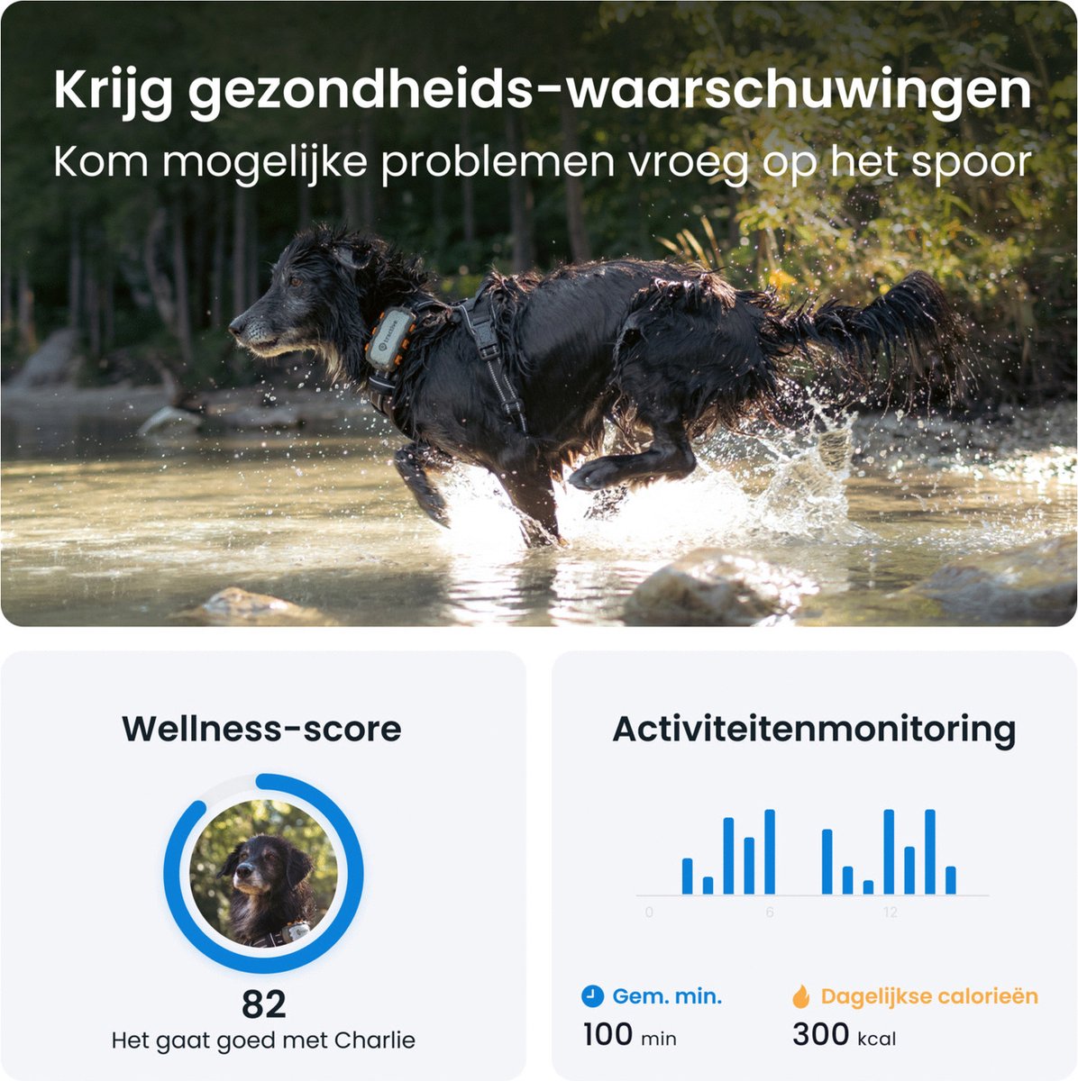 Tractive DOG XL Adventure Edition - Extra Stevig & Grotere Batterij thumbnail 8
