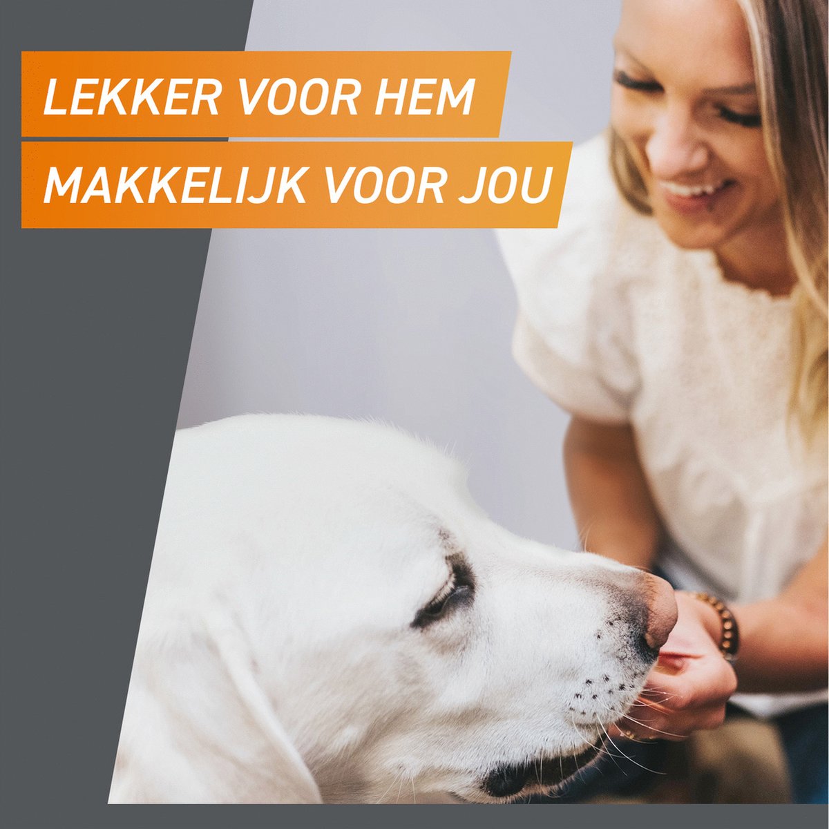 Frontpro Anti vlooien kauwtablet - Hond XL 25-50 kg - 3 tabletten — afbeelding 5