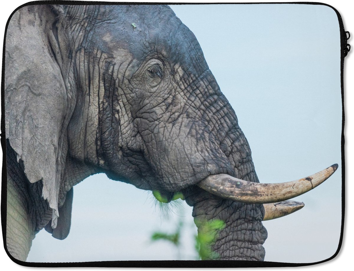Laptophoes 15.6 inch - Olifant - Dieren - Grijs - Natuur - Laptop sleeve - Binnenmaat 37x26 cm - Zwarte achterkant