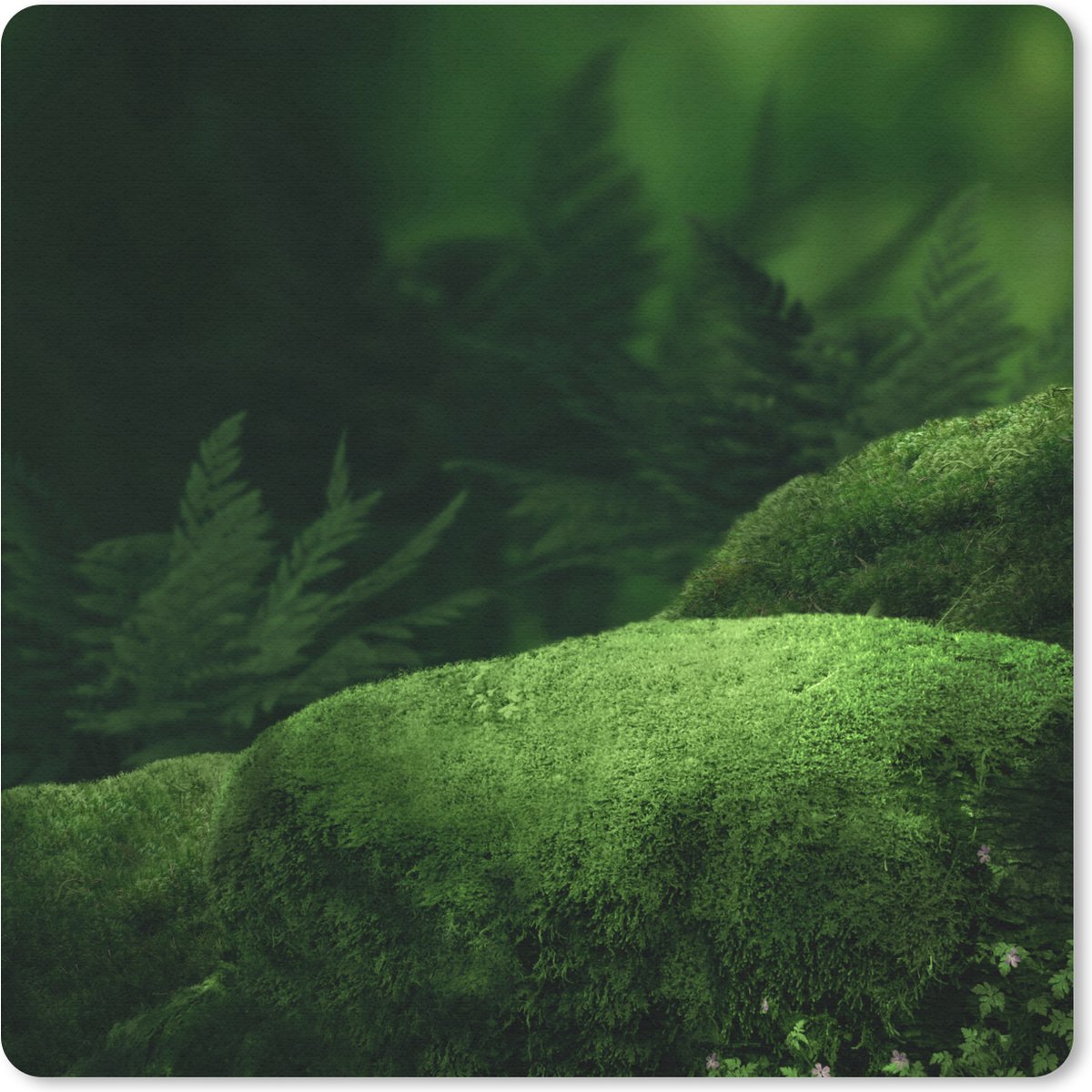 Muismat 30x30 cm - Mousepad Mos - Steen - Bos - Muismatten