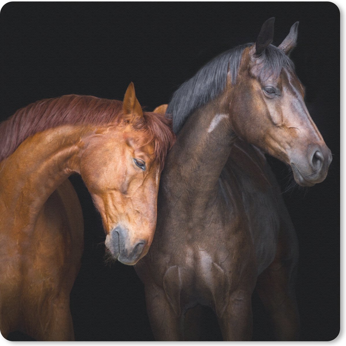 Muismat 20x20 cm - Mousepad Paarden - Dieren - Portret - Bruin - Muismatten
