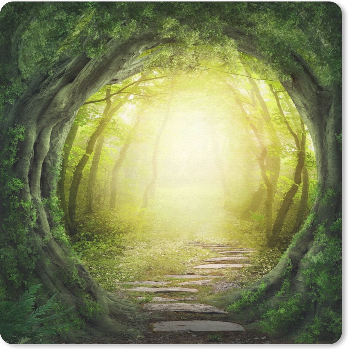 Muismat 20x20 cm - Mousepad Bomen - Bos - Mos - Muismatten